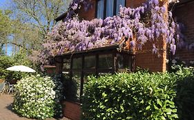 The Casa Hotel, Sure Hotel Collection By Best Western